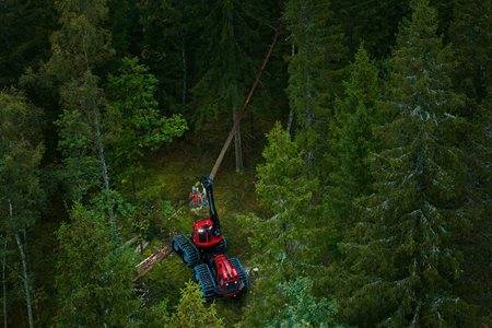 Forest machine working in forest